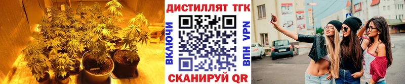 Дистиллят ТГК Wax  купить наркотик  Нестеров 